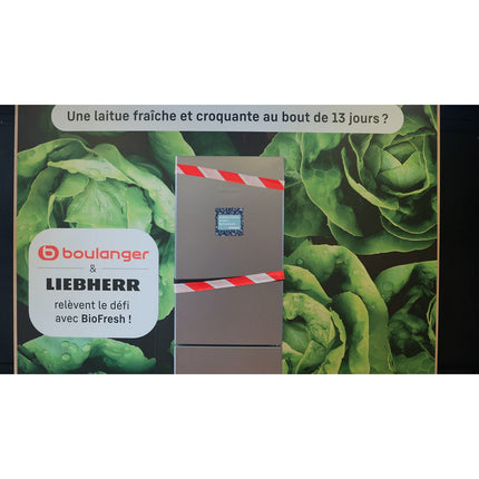 Réfrigérateur combiné LIEBHERR CBNsfc5223-22 BioFresh