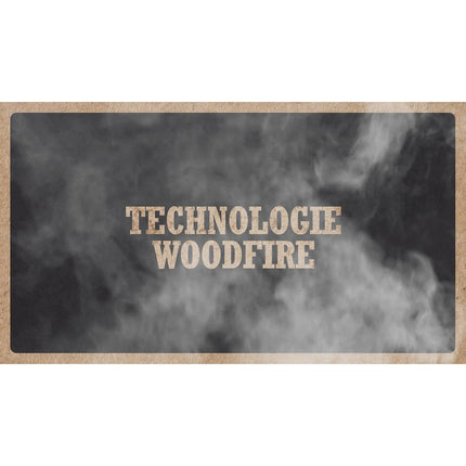 Barbecue électrique NINJA Woodfire OG701EU à poser, 33x28 cm