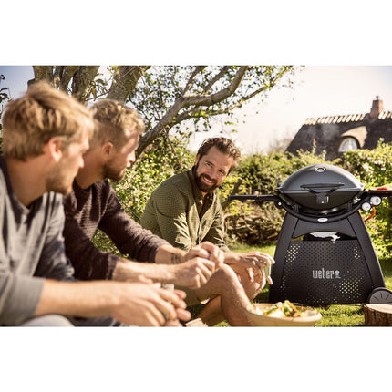 Barbecue gaz WEBER Q 3200 Noir
