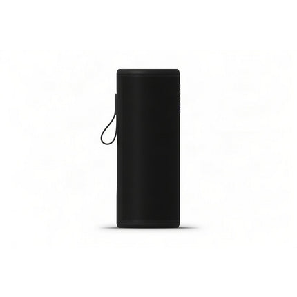 Enceinte portable SONOS Play