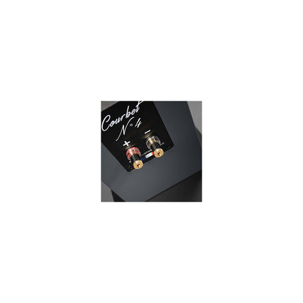 Enceinte colonne DAVIS Courbet N4 Grise