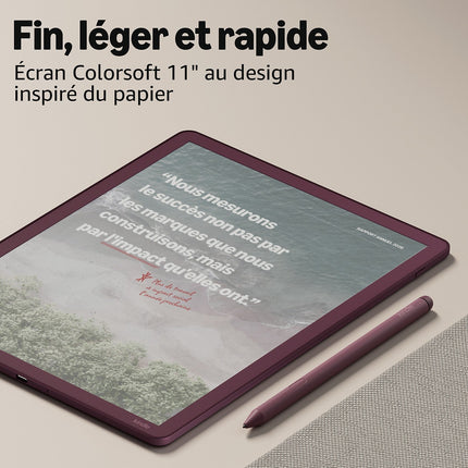 Bloc-notes numérique AMAZON Kindle Scribe Colorsoft 64go 2026 figue