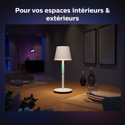 Lampe connectée PHILIPS HUE GO Noir White&Color Ambiance