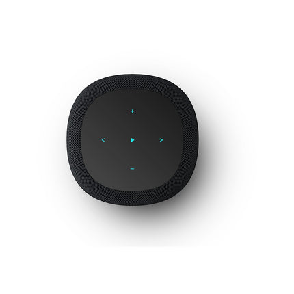 Enceinte Multiroom WIIM Sound Black with display