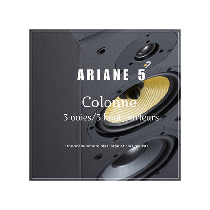 Enceinte colonne DAVIS ARIANE 5 Noir (x1)