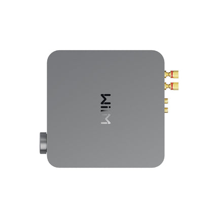 Amplificateur HiFi WIIM amp space grey