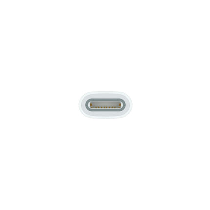Adaptateur APPLE USB-C pour Pencil
