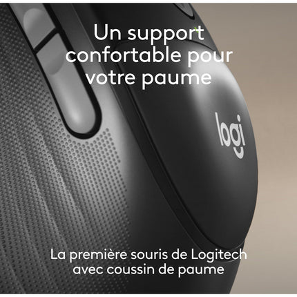 Souris sans fil LOGITECH M850 L GRAPHITE