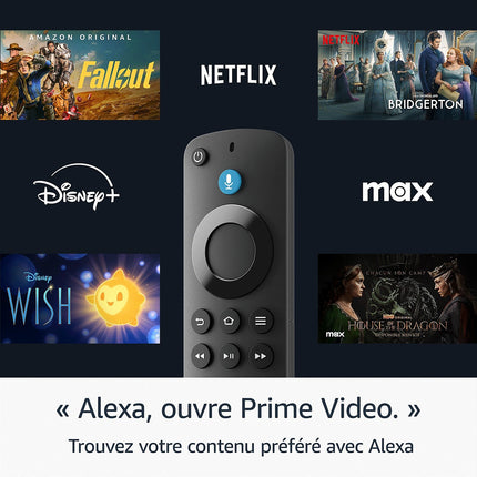 Passerelle multimédia AMAZON Fire TV Stick HD (2024)