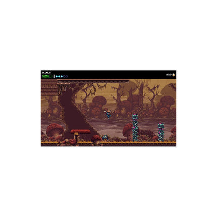 Jeu PS5 DEVOLVER DIGITAL The Messenger