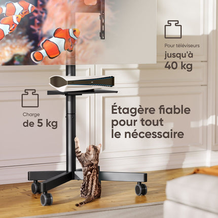 Pied TV ONKRON Mobile 23"–60", 40 kg, TS1137-B Noir