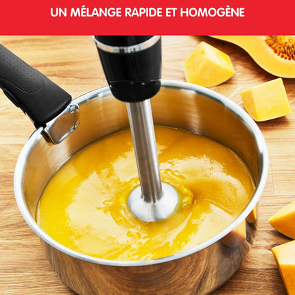 Mixeur MOULINEX INFINYFORCE AVEC ACCESSOIRE XL DD94L810