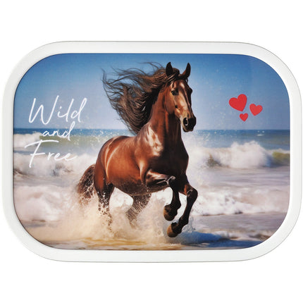 Bento MEPAL à dejeuner campus wild horse