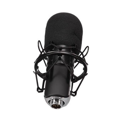 Micro HQ POWER Kit avec microphone à condensateur pour