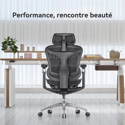 Fauteuil ergonomique SIHOO C300 Pro chaise ergonomique noir