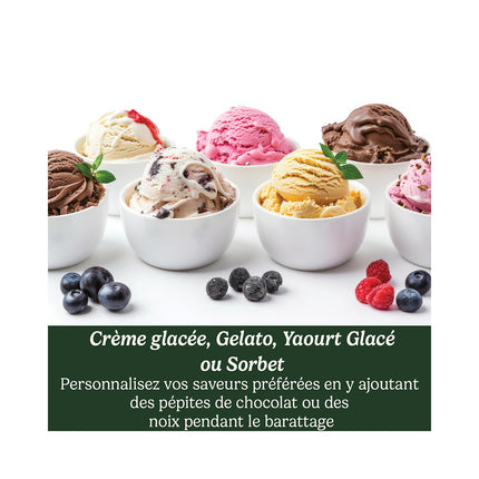 Sorbetière CUISINART Freeze Wand ICEFD10E