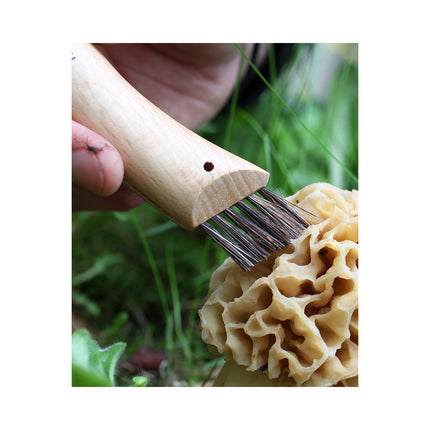 Couteau d'office OPINEL Cuisine Nomade champignon