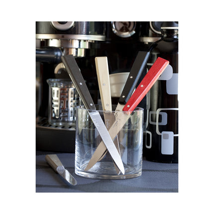 Set de couteaux OPINEL Bon appétit Loft 4 couteaux de table