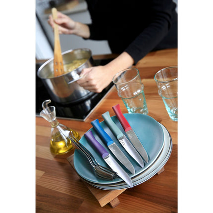 Couteau à steak OPINEL Bon Appétit + Glam 4 couteaux de table