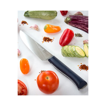 Couteau Chef OPINEL Intempora No218