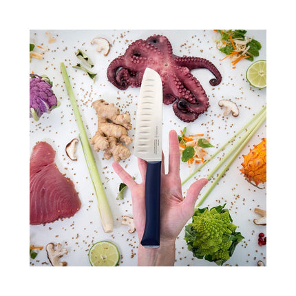 Couteau japonais OPINEL Santoku Intempora No219