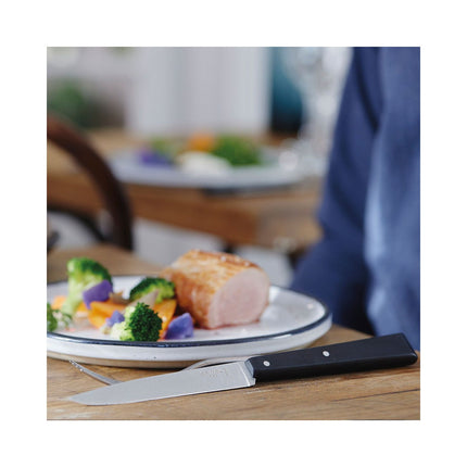 Coffret couteau OPINEL Bon Appétit Pro 125
