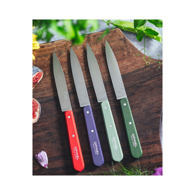 Couteau OPINEL Coffret de 4 pcs N112 Paysage
