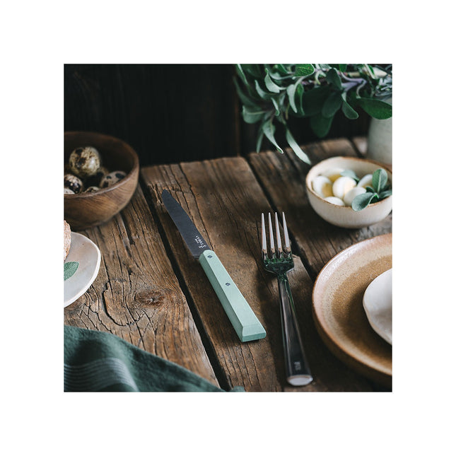 Set de couteaux OPINEL Coffret 4pcs Bon Appetit Sauge
