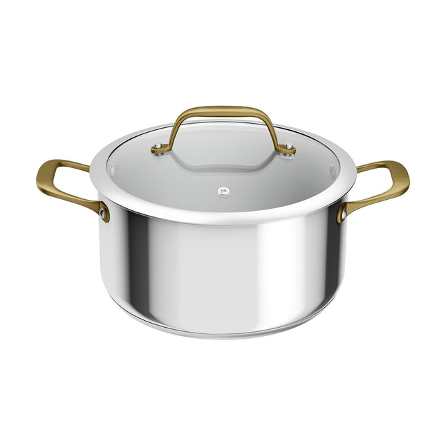 Faitout TEFAL 24cm Edition Bocuse