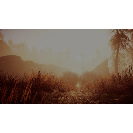 Jeu Xbox UBISOFT Far Cry Primal Special