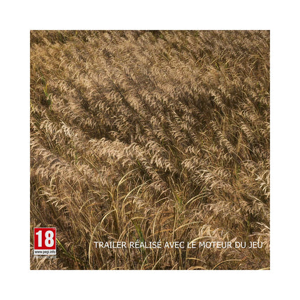 Jeu PS4 UBISOFT Far Cry 5