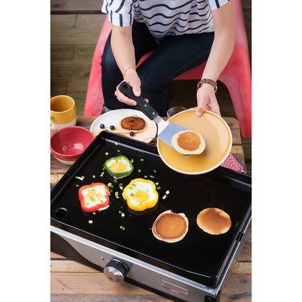 Plancha électrique LE MARQUIER La petite francaise 150DUO PLFE150DPV2