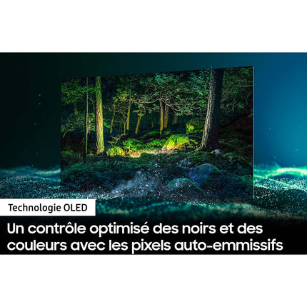 TV OLED SAMSUNG OLED QE55S95B Reconditionné