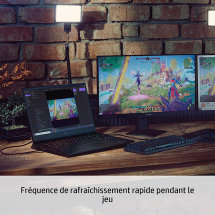 PC Gamer HP OMEN 17-ck0000nf Reconditionné