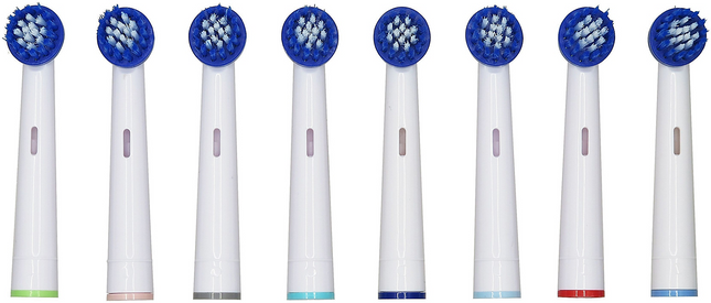 Brossette dentaire ESSENTIELB PACK 8 - EBR1