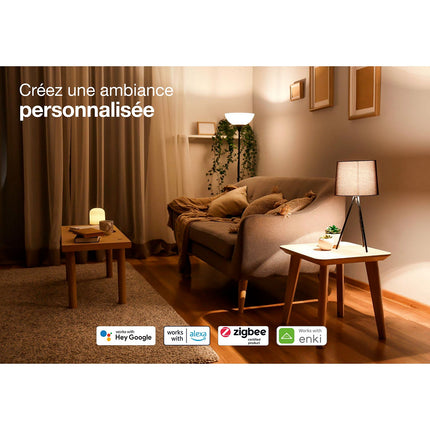 Pack ESSENTIELB Découverte Filament Edison E27 x2
