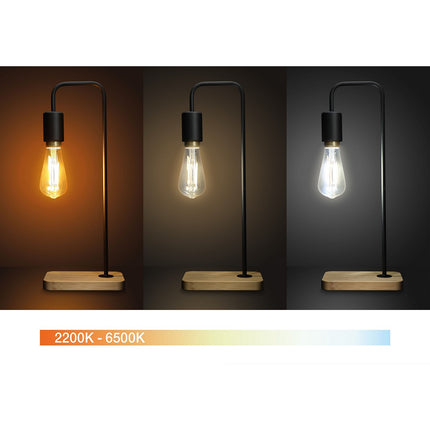 Pack ESSENTIELB Découverte Filament Edison E27 x2