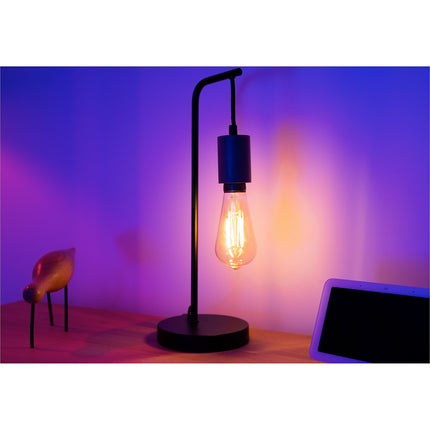 Pack ESSENTIELB Découverte Filament Edison E27 x2
