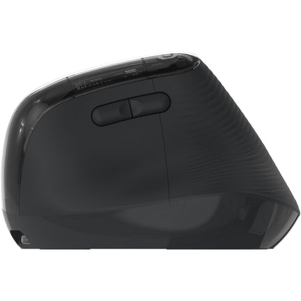 Souris sans fil ESSENTIELB Ergo Sans fil