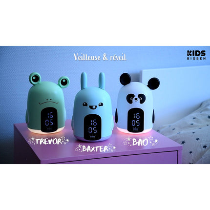 Radio réveil BIGBEN & Veilleuse Panda