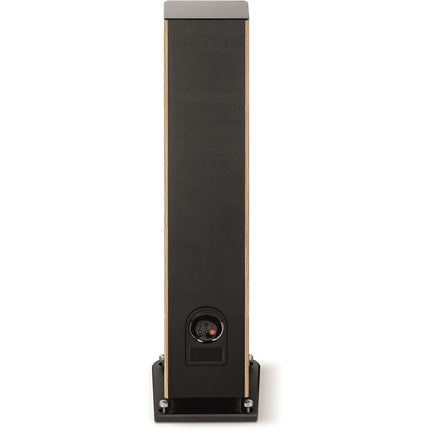 Enceinte colonne FOCAL ARIA EVO X N2 PRIME WALNUT