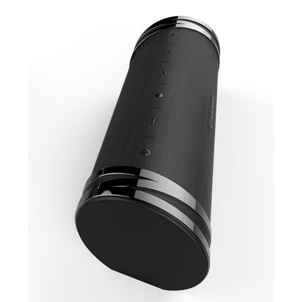 Enceinte portable CABASSE Swell Noire