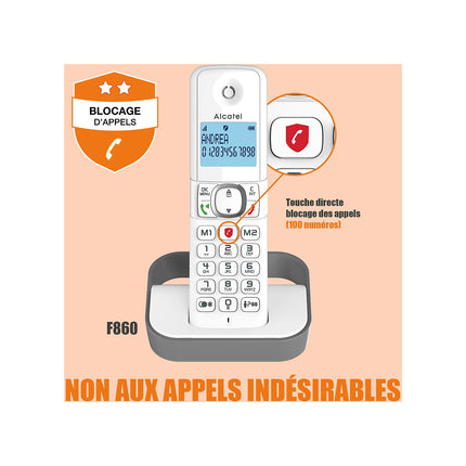 Téléphone sans fil ALCATEL F860 Duo Grey