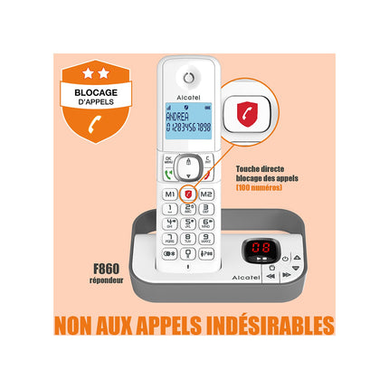 Téléphone sans fil ALCATEL F860 Voice Grey