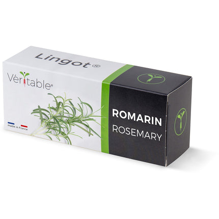 Recharge jardin d'intérieur VERITABLE romarin