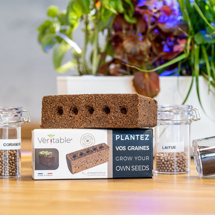 Recharge jardin d'intérieur VERITABLE Lingot Plantez vos propres graines
