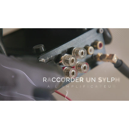 Enceinte encastrable SYLPH ATMS1 - Capot plein