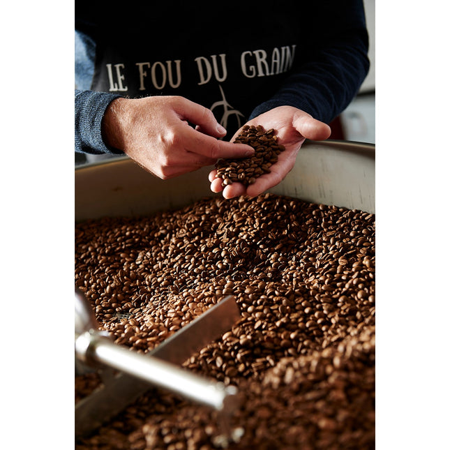 Café en grain LE FOU DU GRAIN 1KG Brésil Bob O Link - Intensité 2