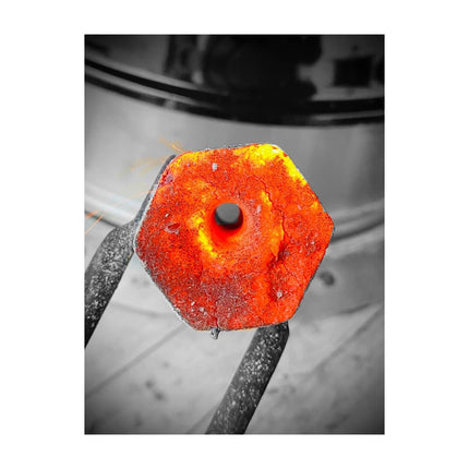 Charbon de bois GREENBBQ Charbon écologique coques noisettes 4kg