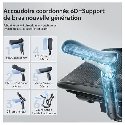 Fauteuil ergonomique SIHOO C300 Pro chaise ergonomique noir